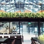 Artificial indoor plants