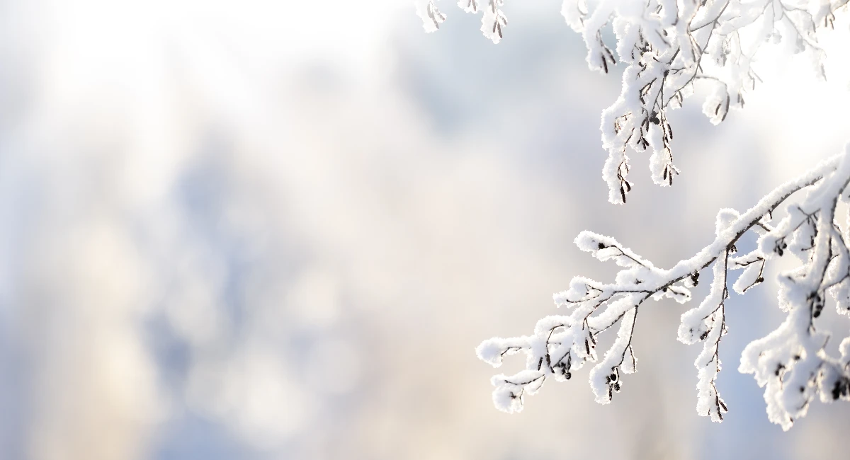snow