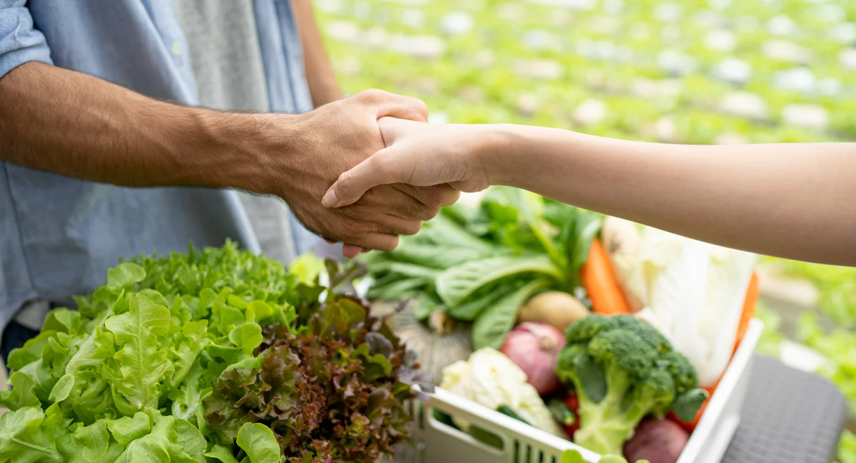 image-banner-stock-the-owner-of-an-organic-vegetable-farm-talked-1185373316.webp