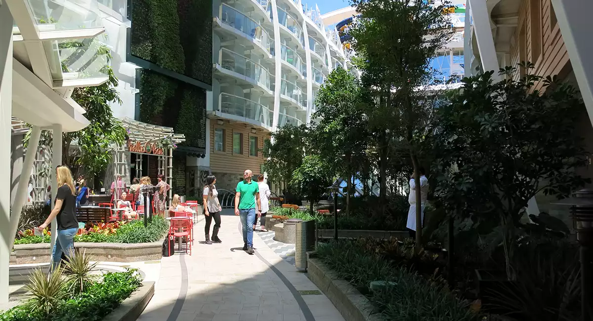 Ambius projects design construction