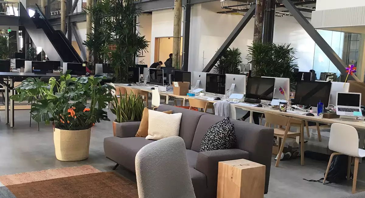 Ambius projects gusto
